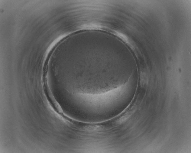 X0000068891331200605122024