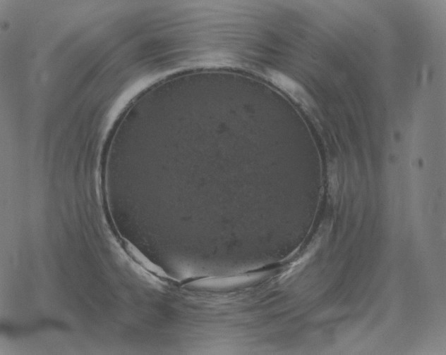 X0000068891334200605122024