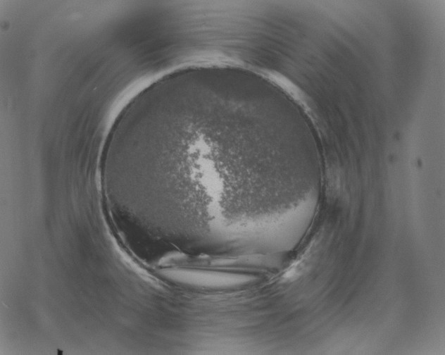 X0000068891335200605122024