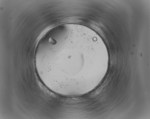 X0000068891338200605122024