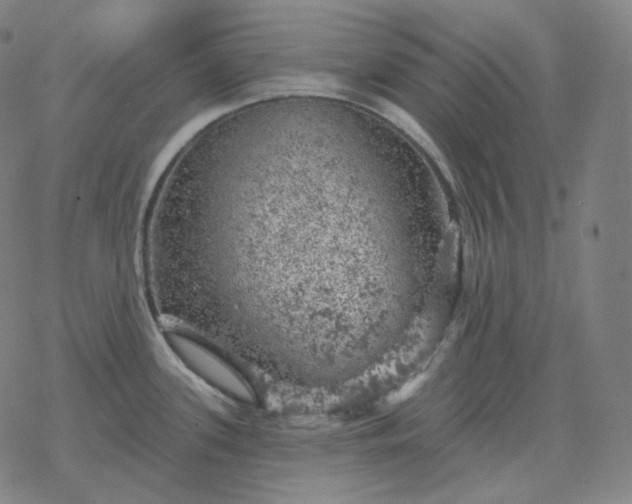 X0000068891339200605122024