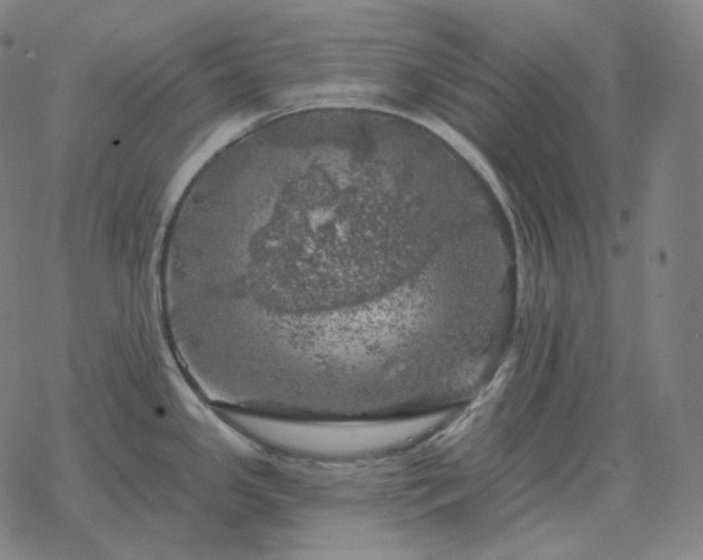 X0000068891341200605122024