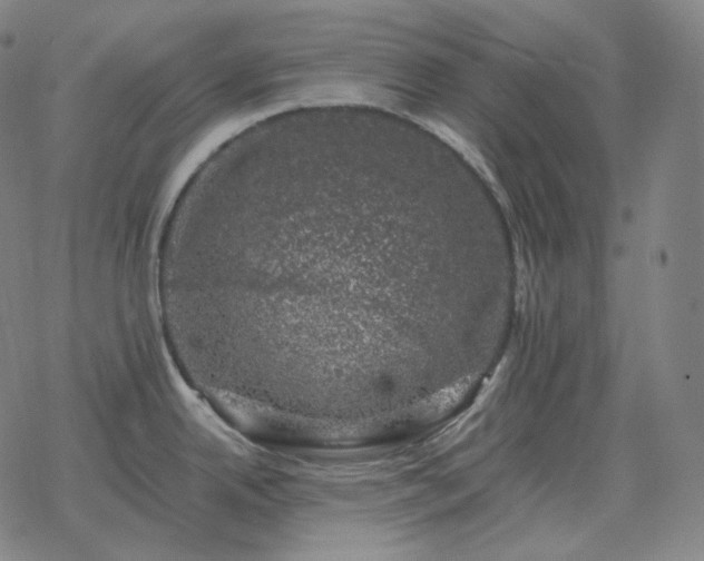 X0000068891342200605122024