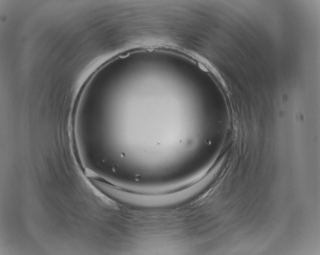 X0000068891343200605122024