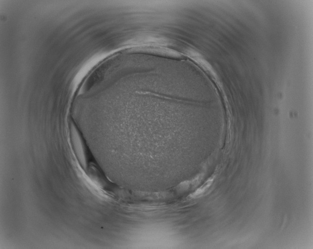 X0000068891344200605122024