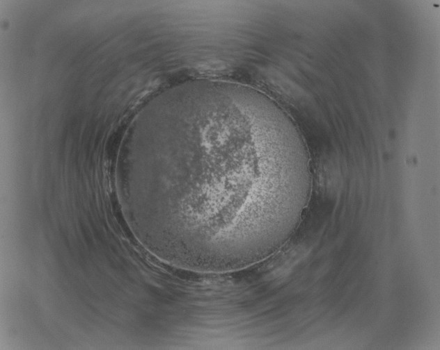 X0000068891346200605122023