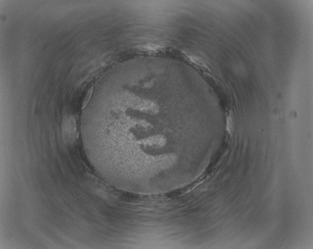 X0000068891347200605122023