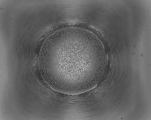 X0000068891349200605122023