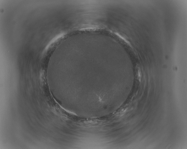 X0000068891351200605122023