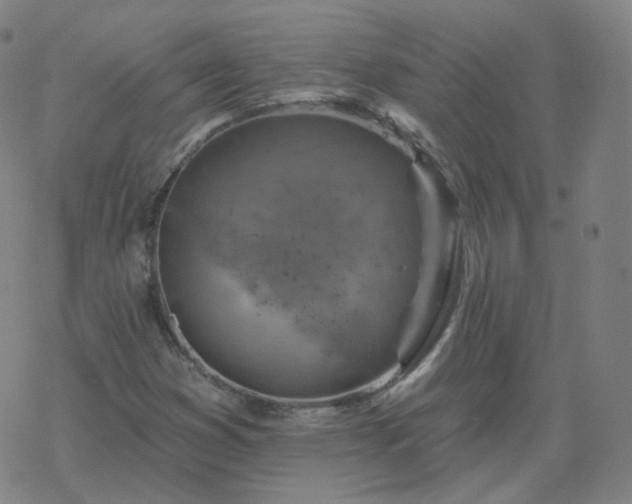 X0000068891353200605122023