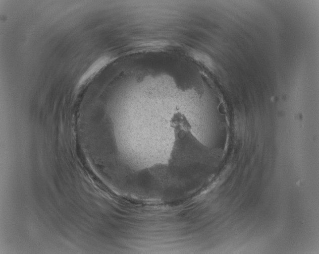 X0000068891354200605122023