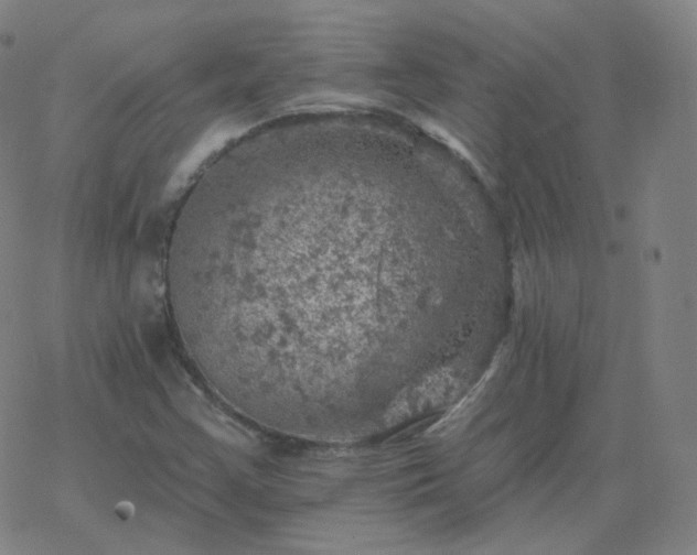 X0000068891355200605122023