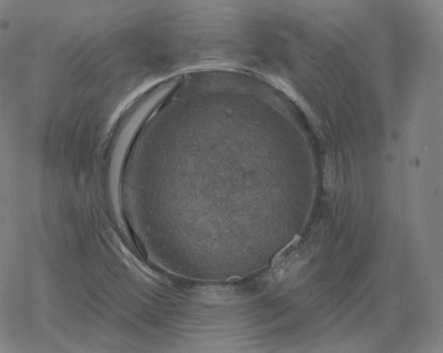 X0000068891356200605122023