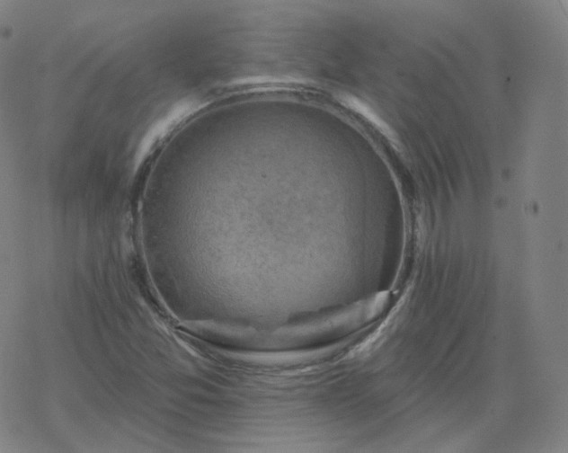 X0000068891357200605122023