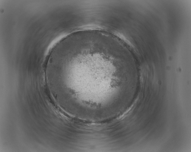 X0000068891358200605122023