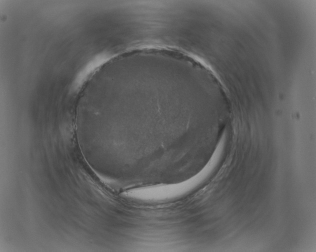 X0000068891359200605122023