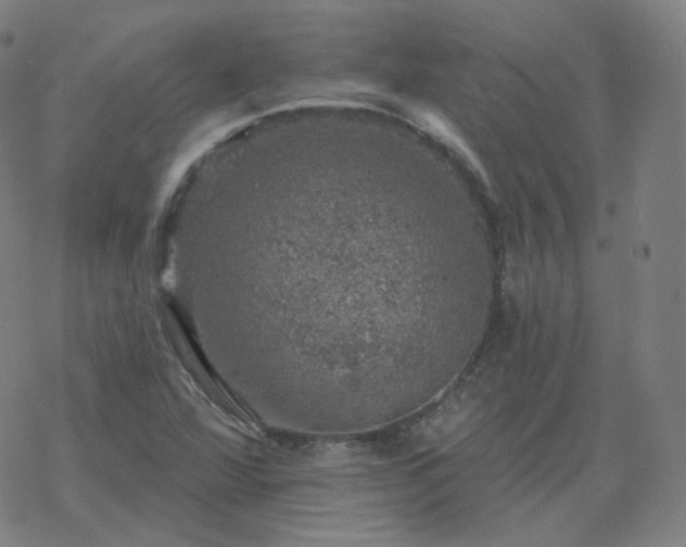 X0000068891360200605122023