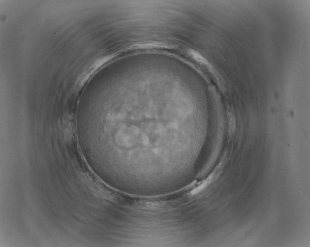 X0000068891361200605122023