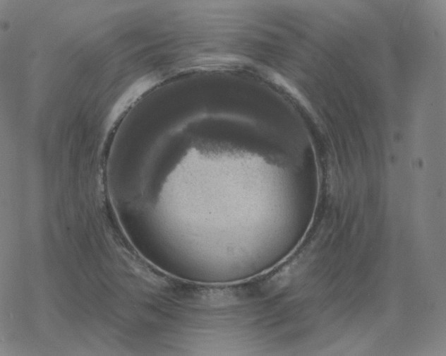 X0000068891362200605122023