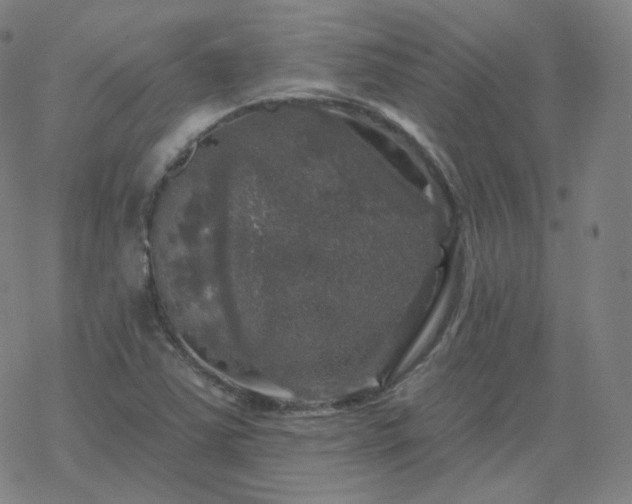 X0000068891363200605122023