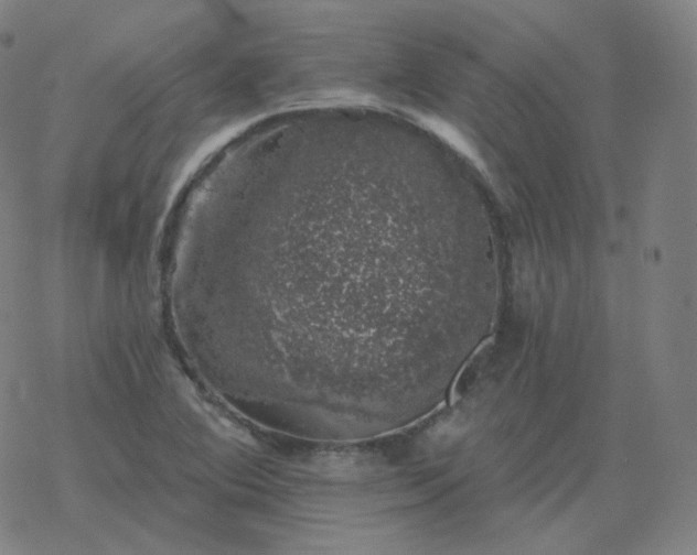 X0000068891364200605122023