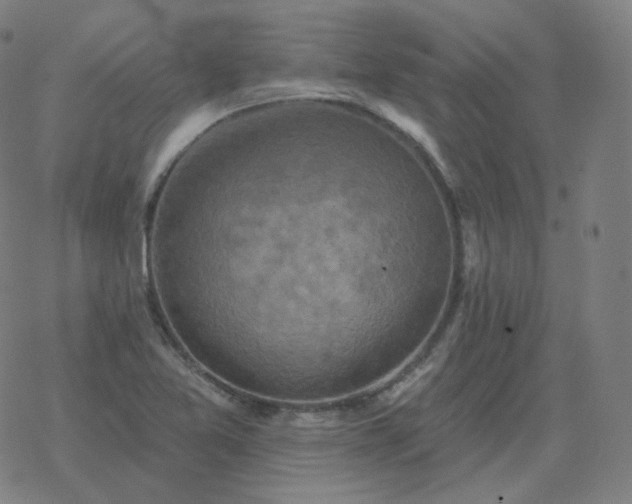 X0000068891365200605122023