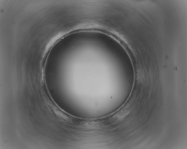 X0000068891366200605122023