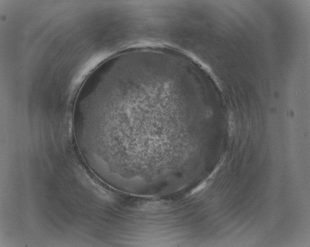 X0000068891367200605122023