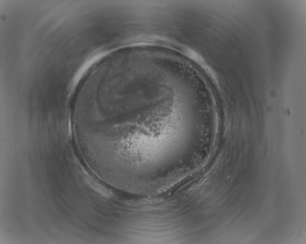 X0000068891368200605122023