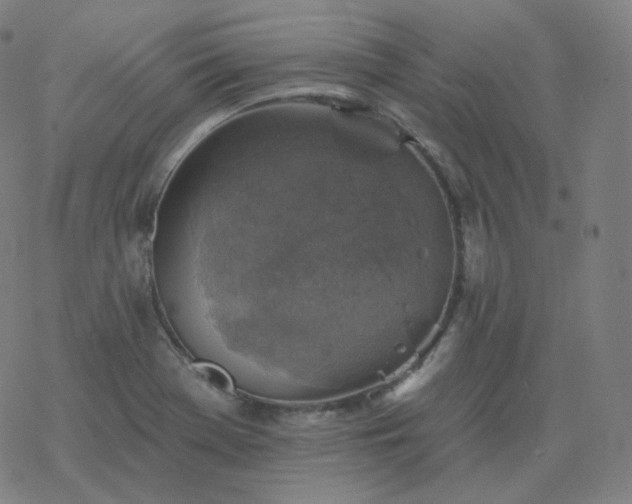 X0000068891369200605122023