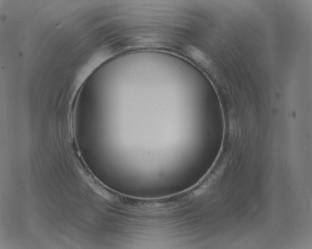 X0000068891370200605122023