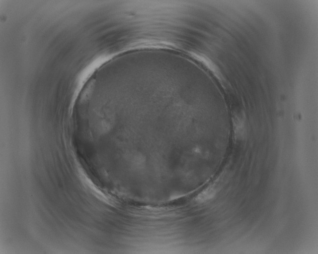 X0000068891371200605122023