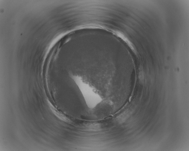 X0000068891372200605122023