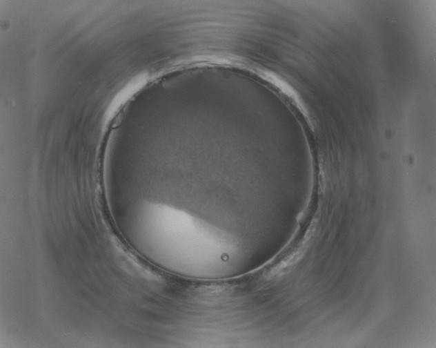 X0000068891373200605122023