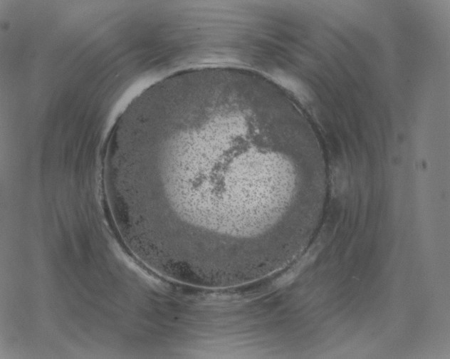 X0000068891374200605122023