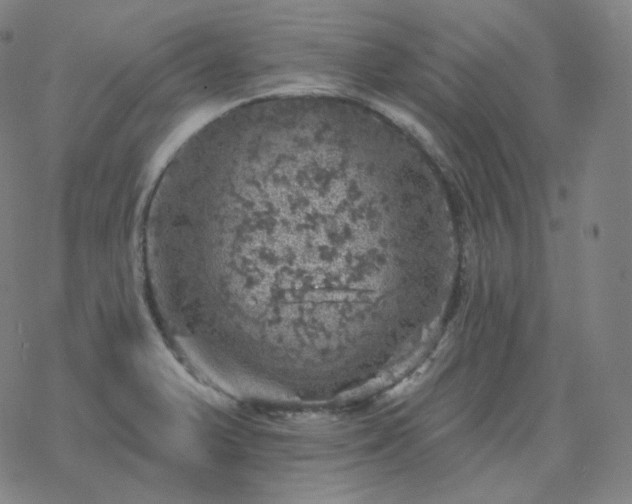 X0000068891375200605122023