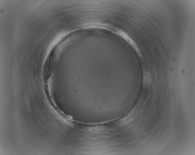 X0000068891376200605122023