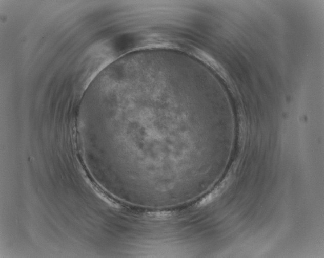 X0000068891377200605122023