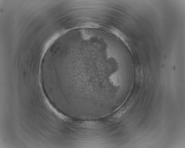 X0000068891379200605122023