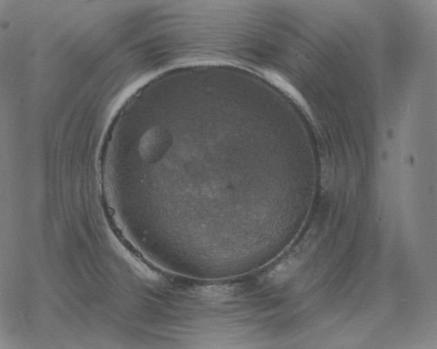 X0000068891380200605122023