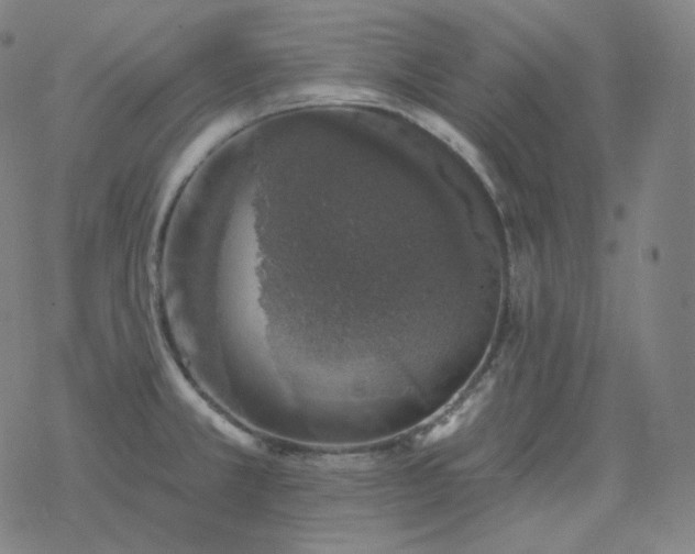 X0000068891381200605122023