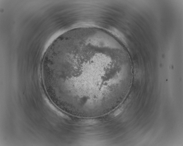 X0000068891382200605122023