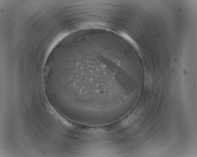 X0000068891384200605122023