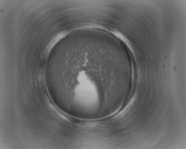 X0000068891385200605122023