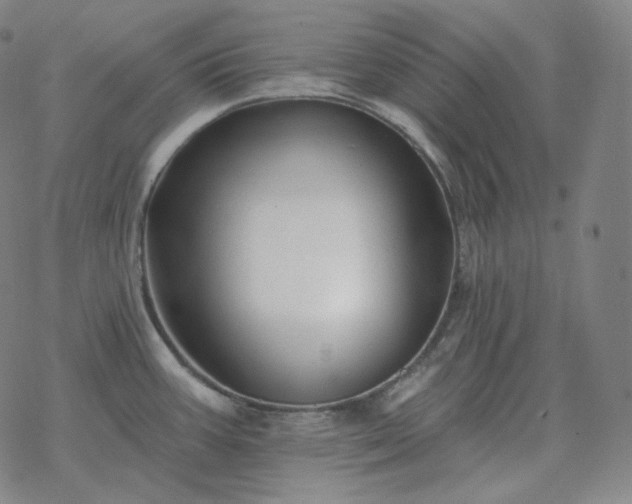 X0000068891387200605122023