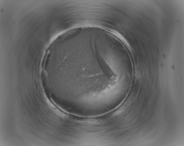 X0000068891388200605122022