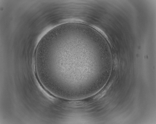 X0000068891391200605122022