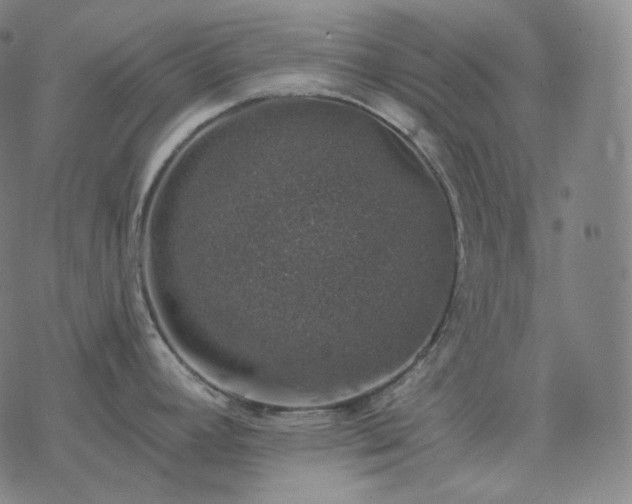 X0000068891392200605122022