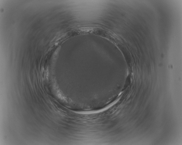 X0000068891394200605122022