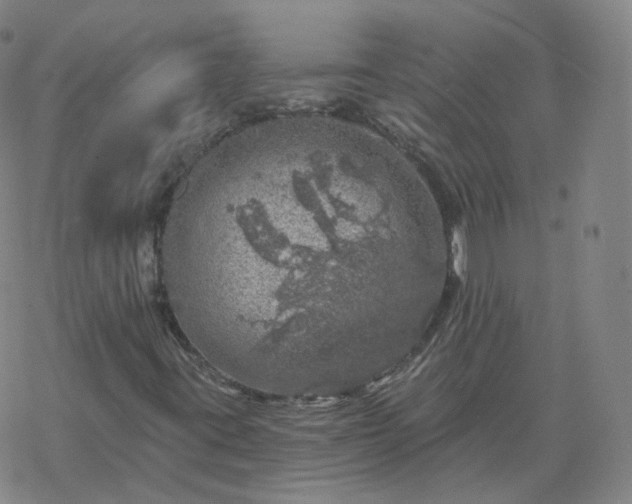 X0000068891395200605122022